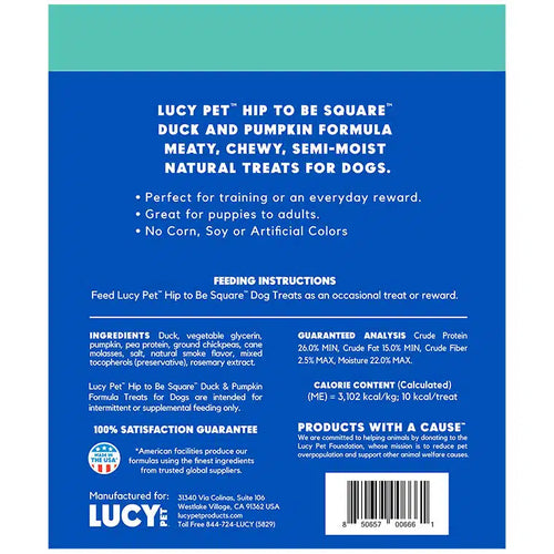 Lucy Pet Hip to Be Square™ Duck and Pumpkin Dog Treats (6 oz)