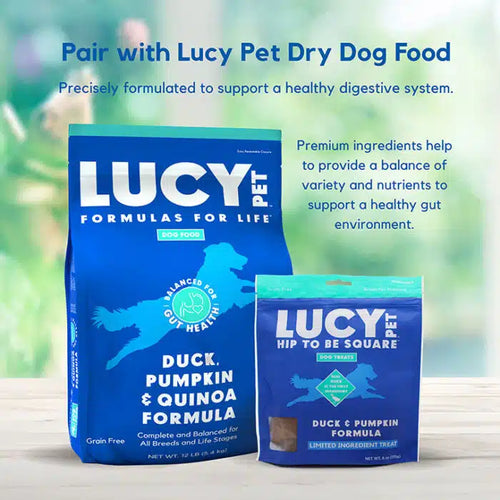 Lucy Pet Hip to Be Square™ Duck and Pumpkin Dog Treats (6 oz)