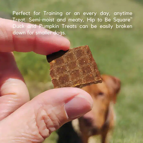 Lucy Pet Hip to Be Square™ Duck and Pumpkin Dog Treats (6 oz)