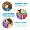 Lucy Pet Hip to Be Square™ Salmon and Pumpkin Dog Treats (6 oz)