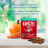 Lucy Pet Hip to Be Square™ Salmon and Pumpkin Dog Treats (6 oz)