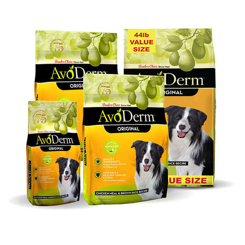 Avoderm Natural Chicken Meal and Brown Rice Formula Adult Dry Dog Food Littleton CO Ken Caryl Pet Spa