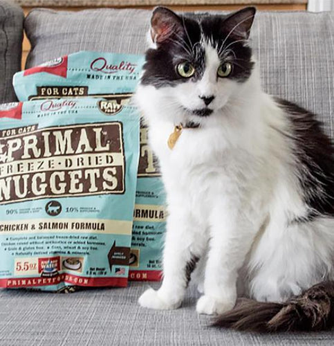 Primal Pet Foods Feline Freeze-Dried Nuggets (Beef & Salmon 5.5 Oz)