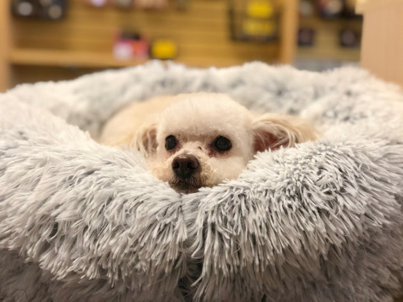 Best Friends by Sheri Original Calming Donut Dog Bed in Shag Fur