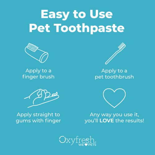 Oxyfresh Premium Pet Toothpaste | Best Way To Clean Pet Teeth & Remove Plaque (4 oz)