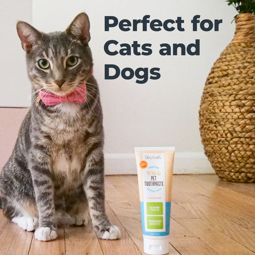 Oxyfresh Premium Pet Toothpaste | Best Way To Clean Pet Teeth & Remove Plaque (4 oz)