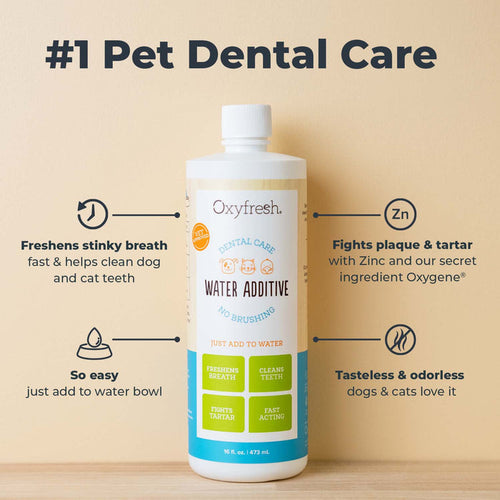 Oxyfresh Premium Pet Dental Water Additive | Easiest Way to Eliminate Dog and Cat Bad Breath (16 oz)