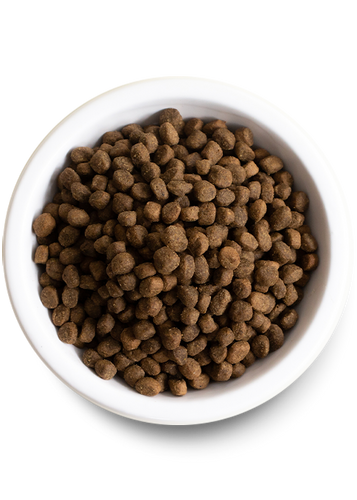 Open Farm Homestead Turkey & Ancient Grains Dry Dog Food
