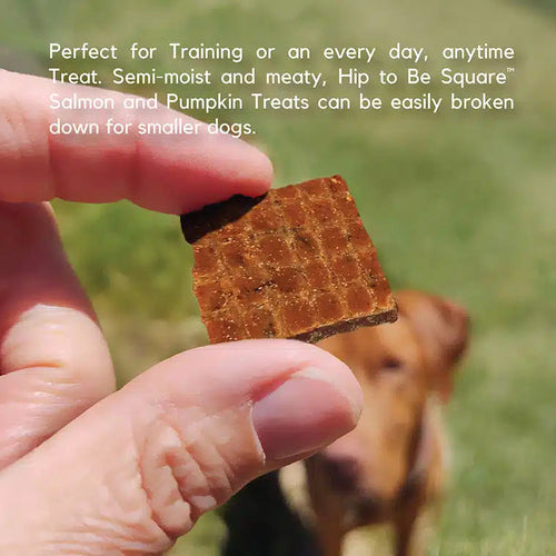 Lucy Pet Hip to Be Square™ Salmon and Pumpkin Dog Treats