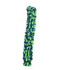 Amazing Pet Products Retriever Rope