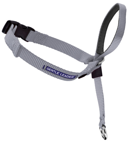 Petsafe Gentle Leader Quick Release Silver Headcollar for Dogs