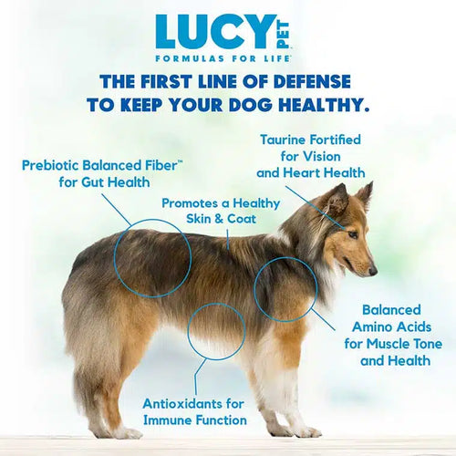 Lucy Pet Salmon, Pumpkin, and Quinoa Grain-Free Formula Dog Food (4.5lb bag)