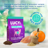 Chicken, Brown Rice & Pumpkin Limited Ingredient Diet Formula Dog Food Small Bite (4.5-lb Bag)