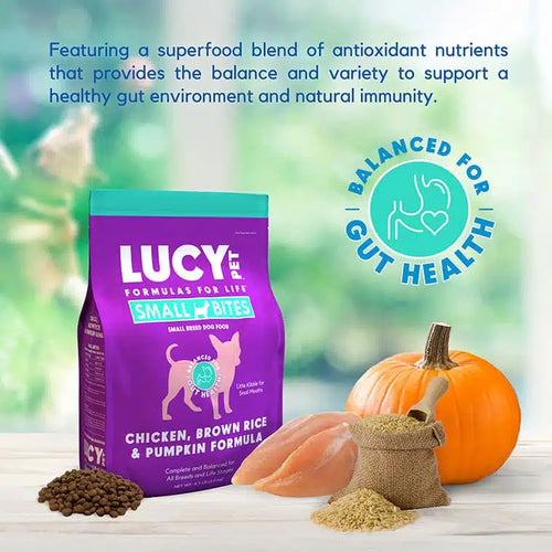 Chicken, Brown Rice & Pumpkin Limited Ingredient Diet Formula Dog Food Small Bite (4.5-lb Bag)