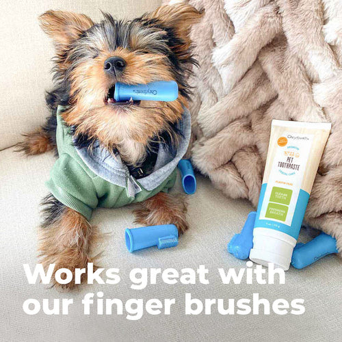 Oxyfresh Premium Pet Toothpaste | Best Way To Clean Pet Teeth & Remove Plaque