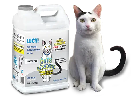 Lucy Pet Cats Incredible Cat Litter Unscented (18 lb Unscented)