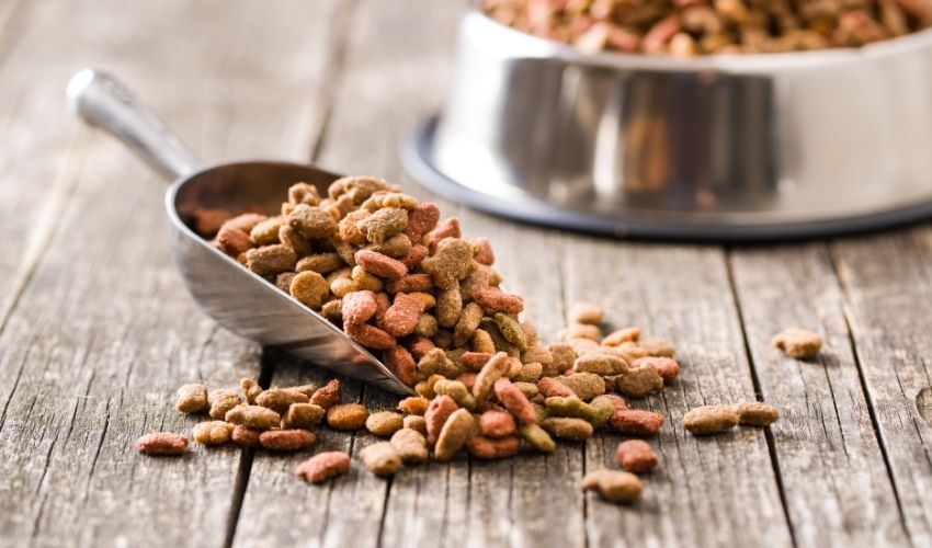 Pet Food and Treat Recalls: Protecting Your Pet